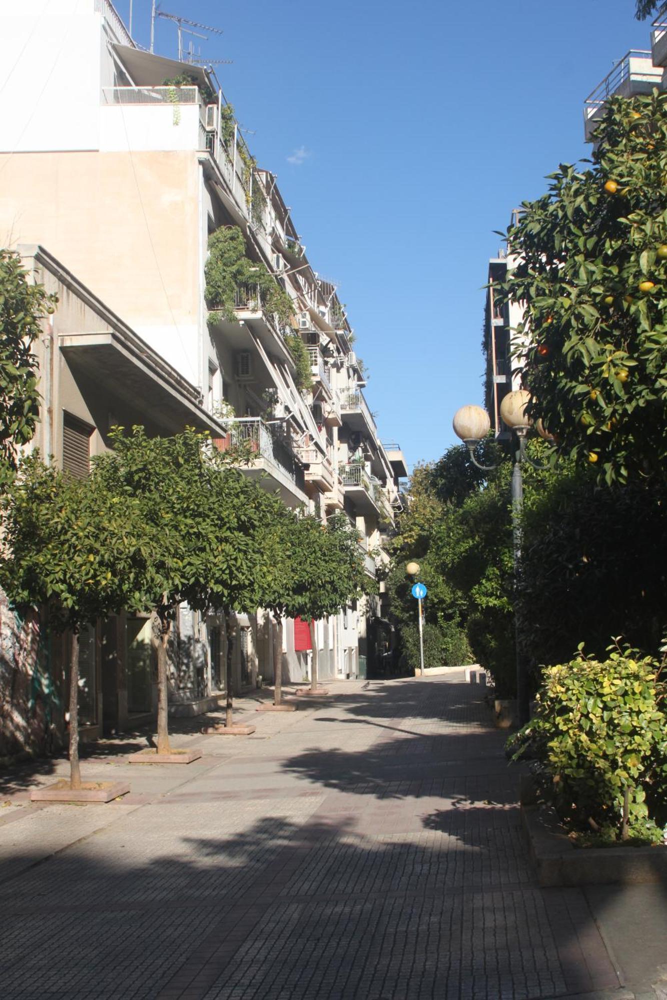 "Under The Olive Tree"- Beautiful Apartment In The Heart Of Athens Exterior photo
