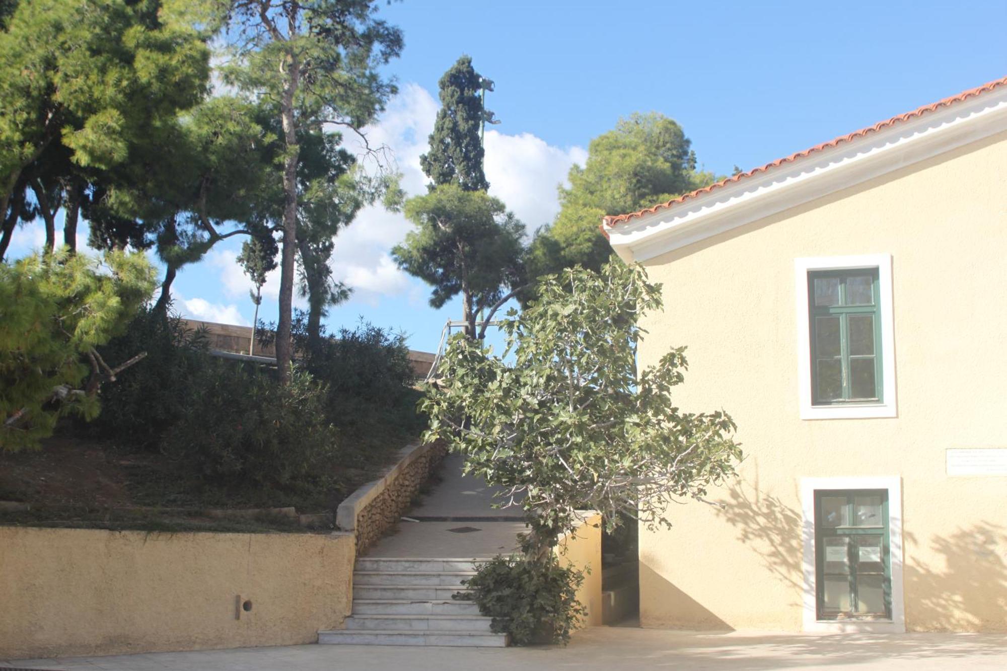 "Under The Olive Tree"- Beautiful Apartment In The Heart Of Athens Exterior photo
